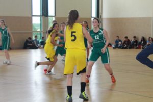 IMG_6451