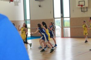 IMG_6536