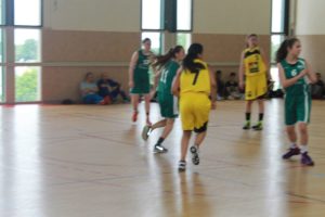 IMG_6419