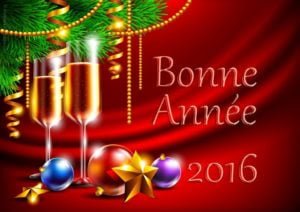 ob_2ef9ff_bonne-annee-champagne