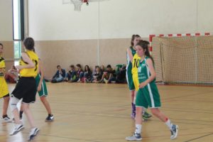 IMG_6442