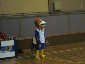 IMG_3251