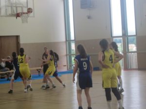 IMG_6529