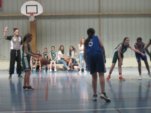 IMG_3416