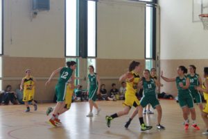 IMG_6450[1]