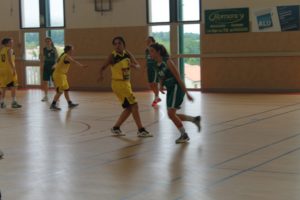 IMG_6453