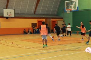 IMG_6348